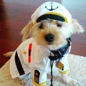 Meet your Posher, Ally